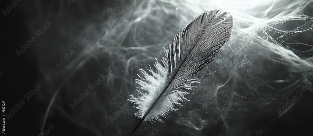 Poster delicate gray feather on dark background with ethereal cobweb light and shadows creating subtle text