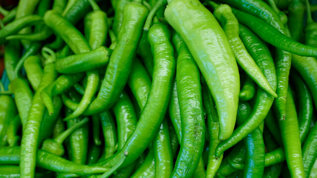 Vibrant Green Peppers in a Pile