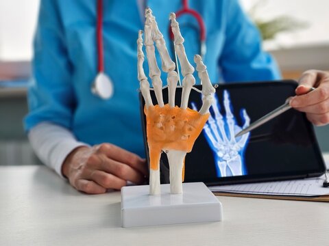 A doctor examines a model of a hand skeleton while pointing to an X-ray image on a tablet concept
