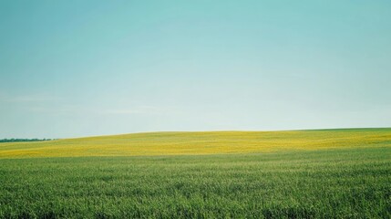 Obraz premium Vibrant Green Field with Blue Sky and Colorful Sprinkler System for Grass Irrigation Featuring Expansive Copy Space for Text