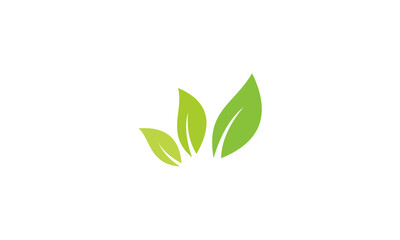 green leaf logo