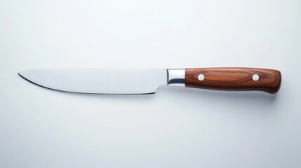 Sleek stainless steel knife with wooden handle positioned against a minimalist white background, emphasizing kitchen tools and culinary elegance in decor.