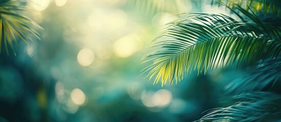 Defocused tropical paradise landscape with soft green palm leaves and shimmering blue sea in background, ideal for serene nature concepts and relaxation themes.
