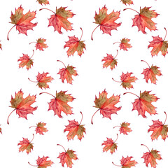 Seamless Autumn Maple Leaves Pattern on White Background