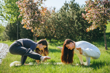 Two women engage in a challenging yoga pose on green grass, synchronized in grace with blooming...