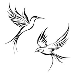 vector black and white bird illustration