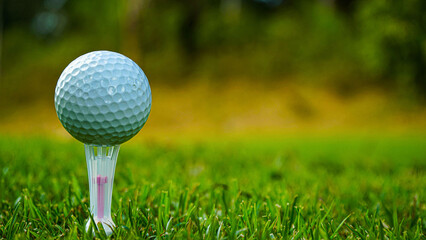 Golf ball on green grass in the evening golf course with sunshine background.