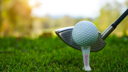 Golf clubs and golf balls on a green lawn in a beautiful golf course with morning sunshine.