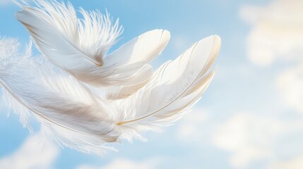 A delicate white feather drifts gently through the vast blue sky, illuminated by the soft glow of sunlight.