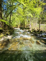 Obraz premium Nature