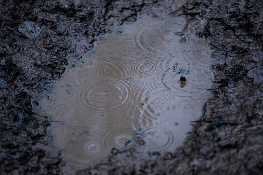 close-up of a puddle with falling rain drops