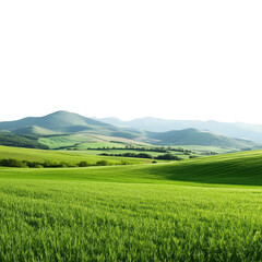 A green field with mountain 