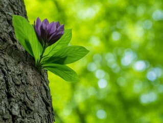 Obraz premium Purple flower blooming from the bark of a tree in a natural outdoor setting