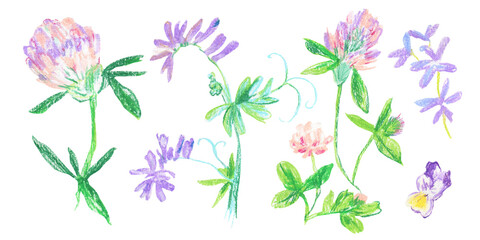 Clip art purple flowers drawn with wax crayons on white isolated background. Children's botanical collection of oil pastel illustrations. Designs for greeting cards, stickers, social media, posters.