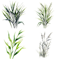 Fototapeta premium Vibrant green grass illustration nature digital art minimalist style top-down view botanical concept