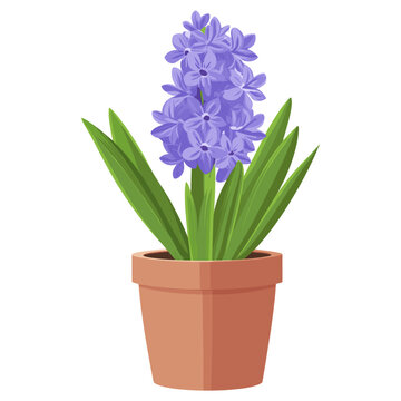 purple hyacinth flower in brown pot clip art preview