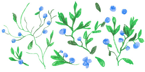 Clip art Blue blueberries drawn with wax crayons on white isolated background. Children's botanical collection of oil pastel illustrations. Designs for greeting cards, stickers, social media, posters.