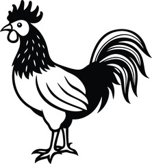 Rooster vector design, Chinses Rooster silhouette, Chinses Rooster line art vector illustration