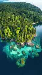 Aerial view of a lush green island surrounded by crystal-clear turquoise water.