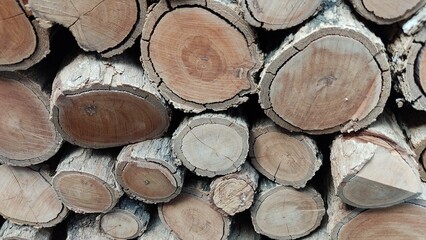 Fototapeta premium stack of firewood