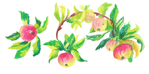 Clip art Pink apples drawn with wax crayons on white isolated background. Children's botanical collection of oil pastel illustrations. Designs for greeting cards, stickers, social media, posters.