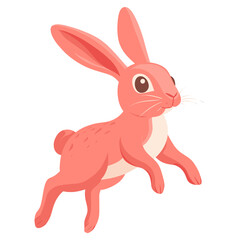 Obraz premium Coral Rabbit Hopping rabbit illustration hopping vector