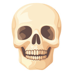 Fototapeta premium Skull illustration human art vector