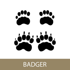 Trace of forest animal European badger, Eurasian badger footprint, illustration © serz72