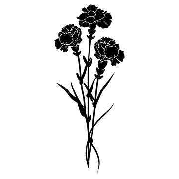 recommend clip art: Carnations with Sweet Peas Flower silhouette flowers carnation vector
