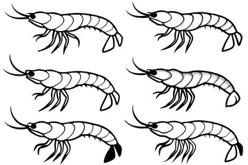 Shrimp Line Art Vector Bundle
