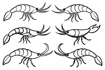 Shrimp Line Art Vector Bundle