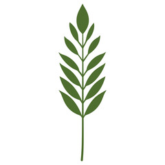 Fototapeta premium Green long linear leaf illustration simple minimalist vector