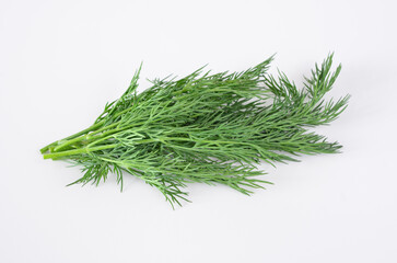 Fresh Dill Sprig white background close up 