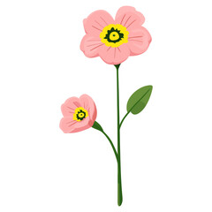 Pink flower flowers illustration floral vector