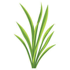 Obraz premium Culinary green onion herb leaf illustration design vector