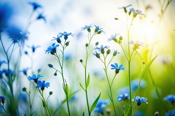 Minimalist Blue Wildflower Silhouette -  Soft Focus Foliage Background Stock Photo