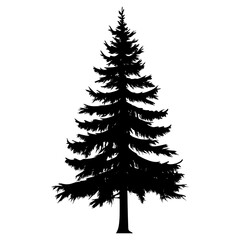 Fototapeta premium Woodland tree silhouette illustration evergreen vector