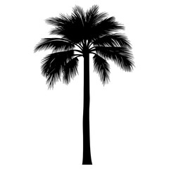 Silhouette palm tree art illustration arecaceae vector