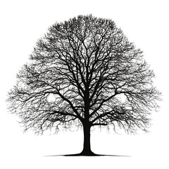 Tree silhouette white art illustration vector