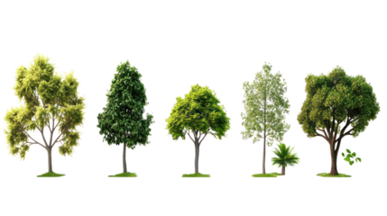 A collection of various trees showcasing unique shapes and shades of green, perfect for landscaping projects or nature-themed designs.