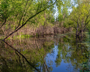 Landscape of the Marais Temps Clair wetland conservation area in Saint Charles County Missouri 