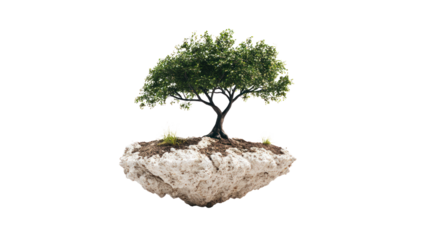 An isolated green tree with a detailed trunk standing on a floating rock, symbolizing nature and tranquility, suitable for environmental themes.