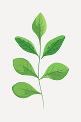 Obraz premium flat leaf plant illustration vector