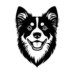 Fototapeta premium Stylized border collie face illustration vector