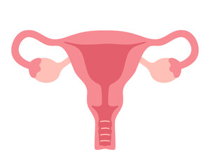 Female uterus illustration in flat style.