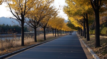 Red bike lane on Mala-Ulica contrasts with green trees and a bus in Ljubblogachia, showcasing urban and natural elements together.