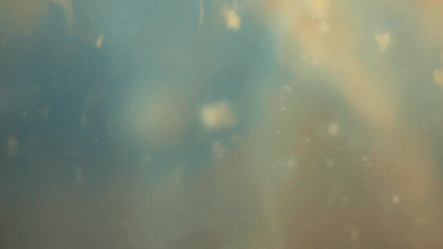 Biological Organism and Microorganism Floating in Water Mixed Background
