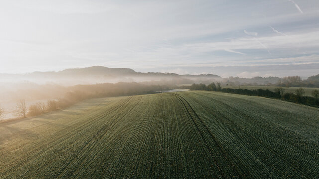 A foggy morning in a field with a few trees in the background. The sky is cloudy and the sun is barely visible