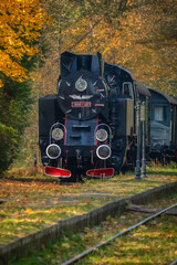 old steam locomotive in autumn