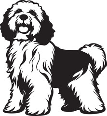 adorable havanese dog